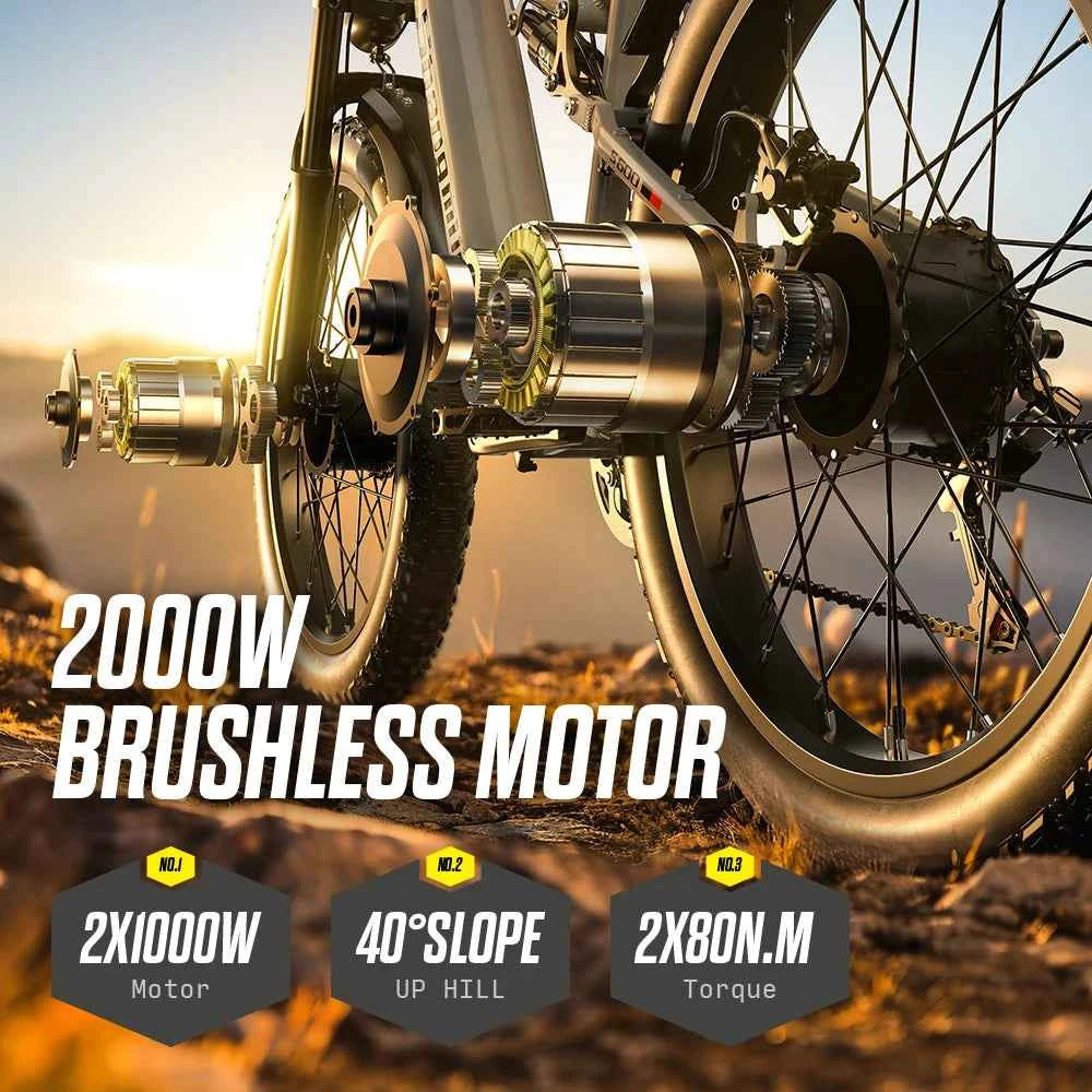 Dual Motor Fat Tire E-Bike 2000W