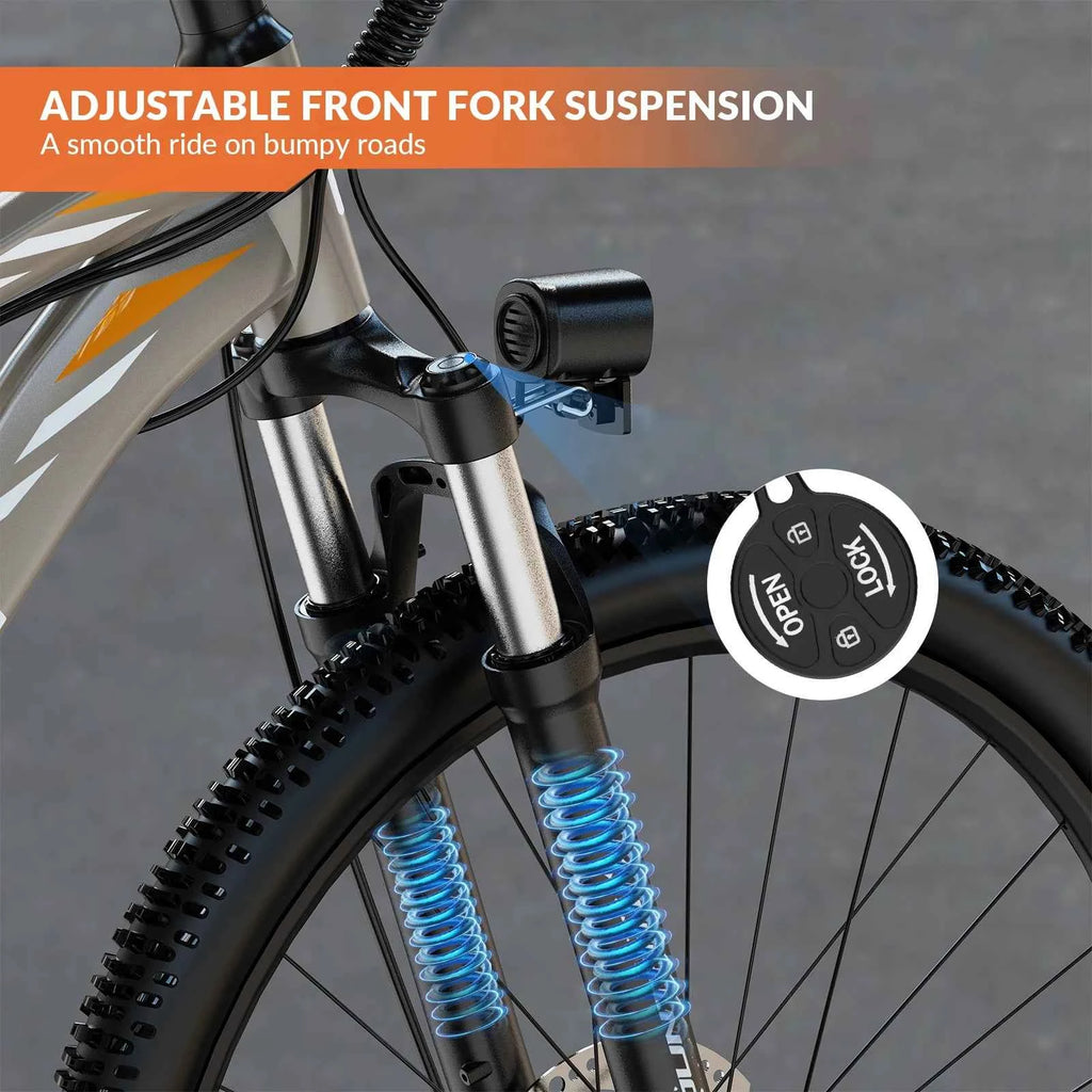 Electric Bike 700W LCD