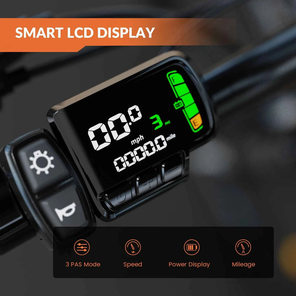 Electric Bike 700W LCD