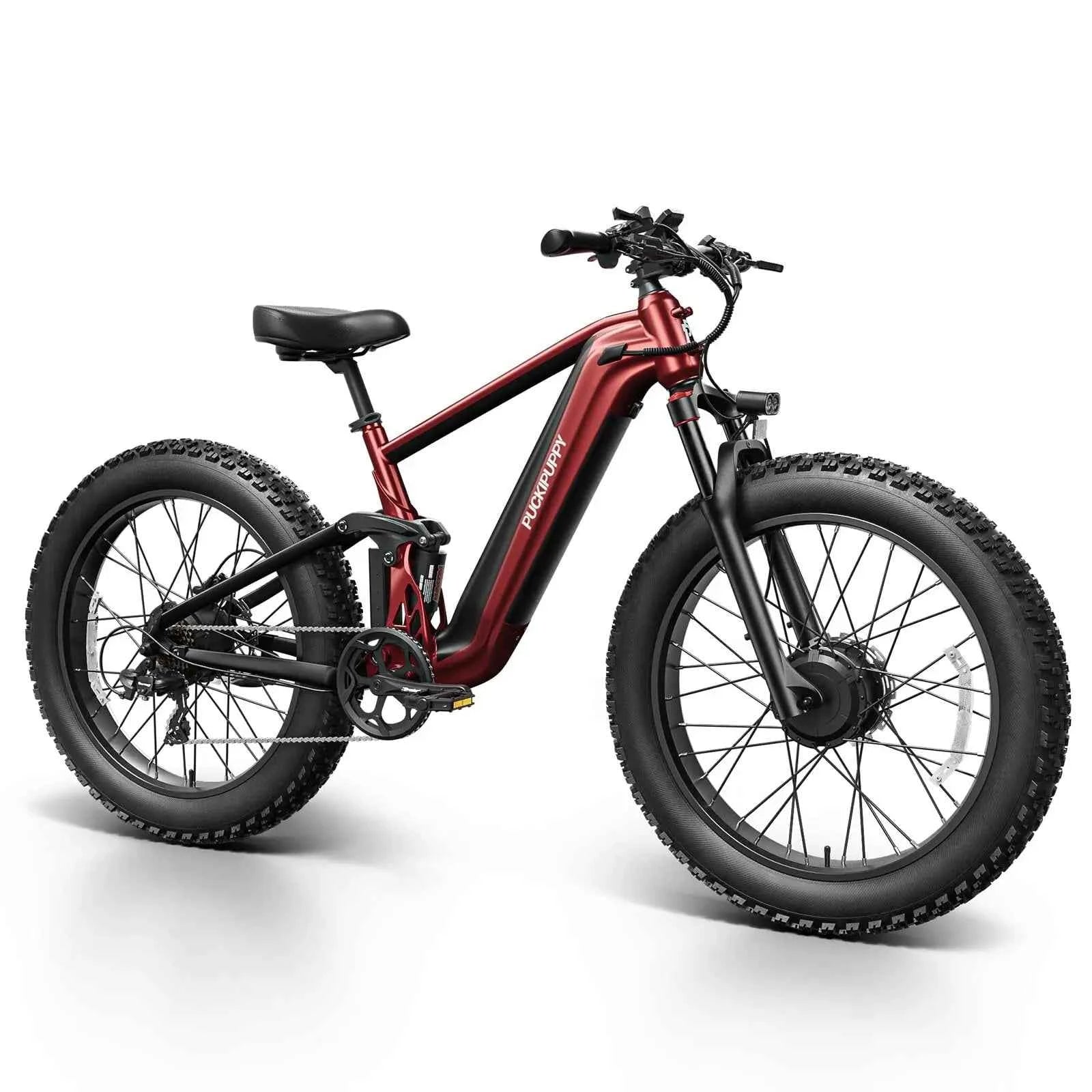 Dual Motor E-Bike 1600W
