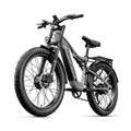 Dual Motor Fat Tire E-Bike 2000W