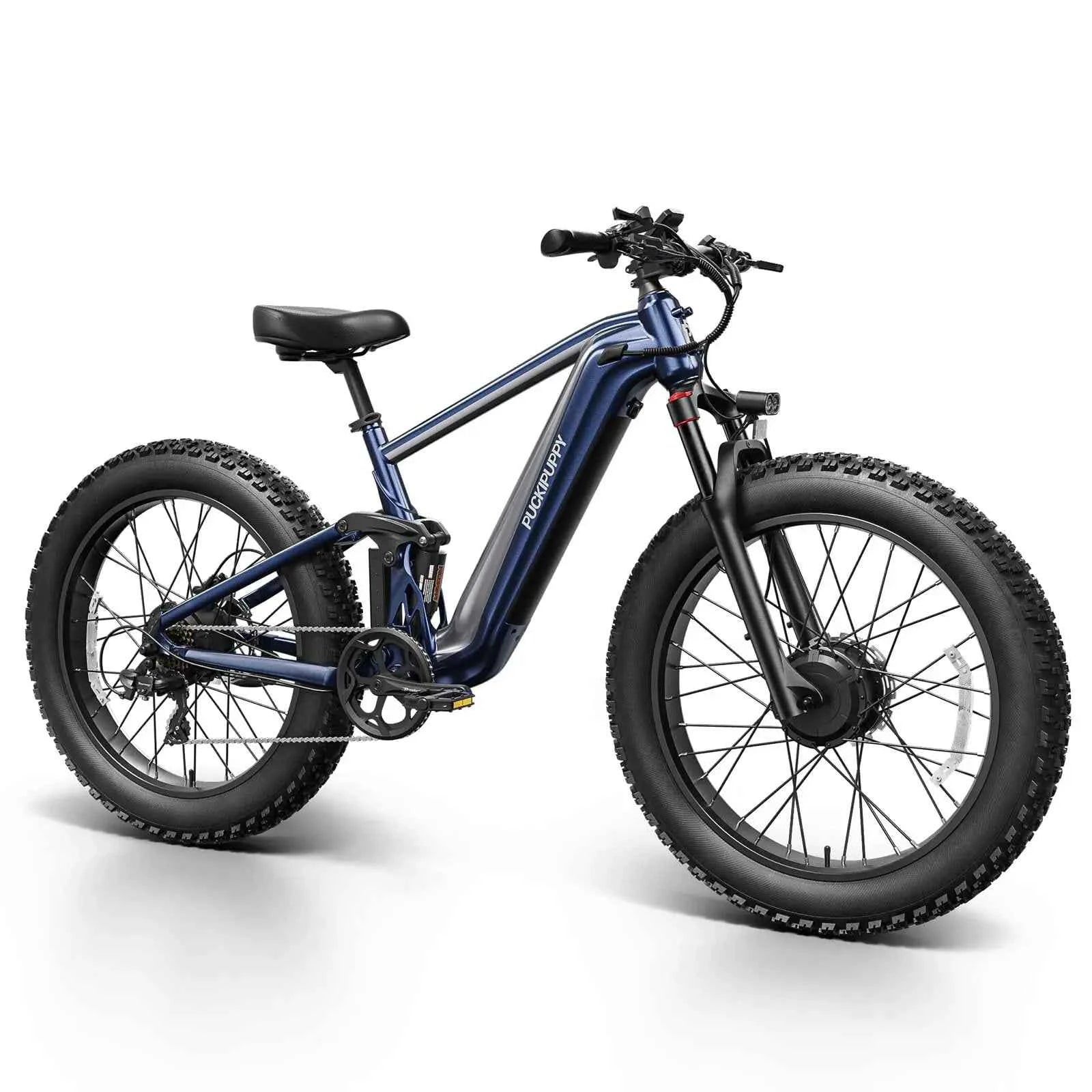Dual Motor E-Bike 1600W