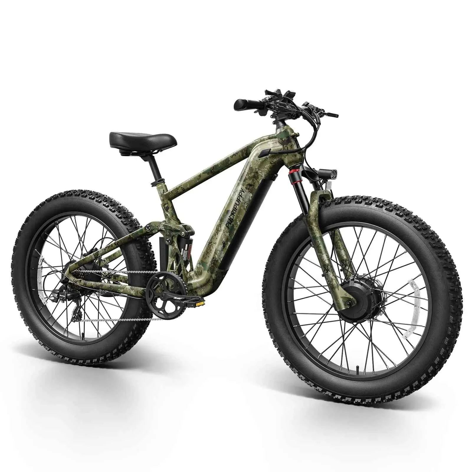 Dual Motor E-Bike 1600W