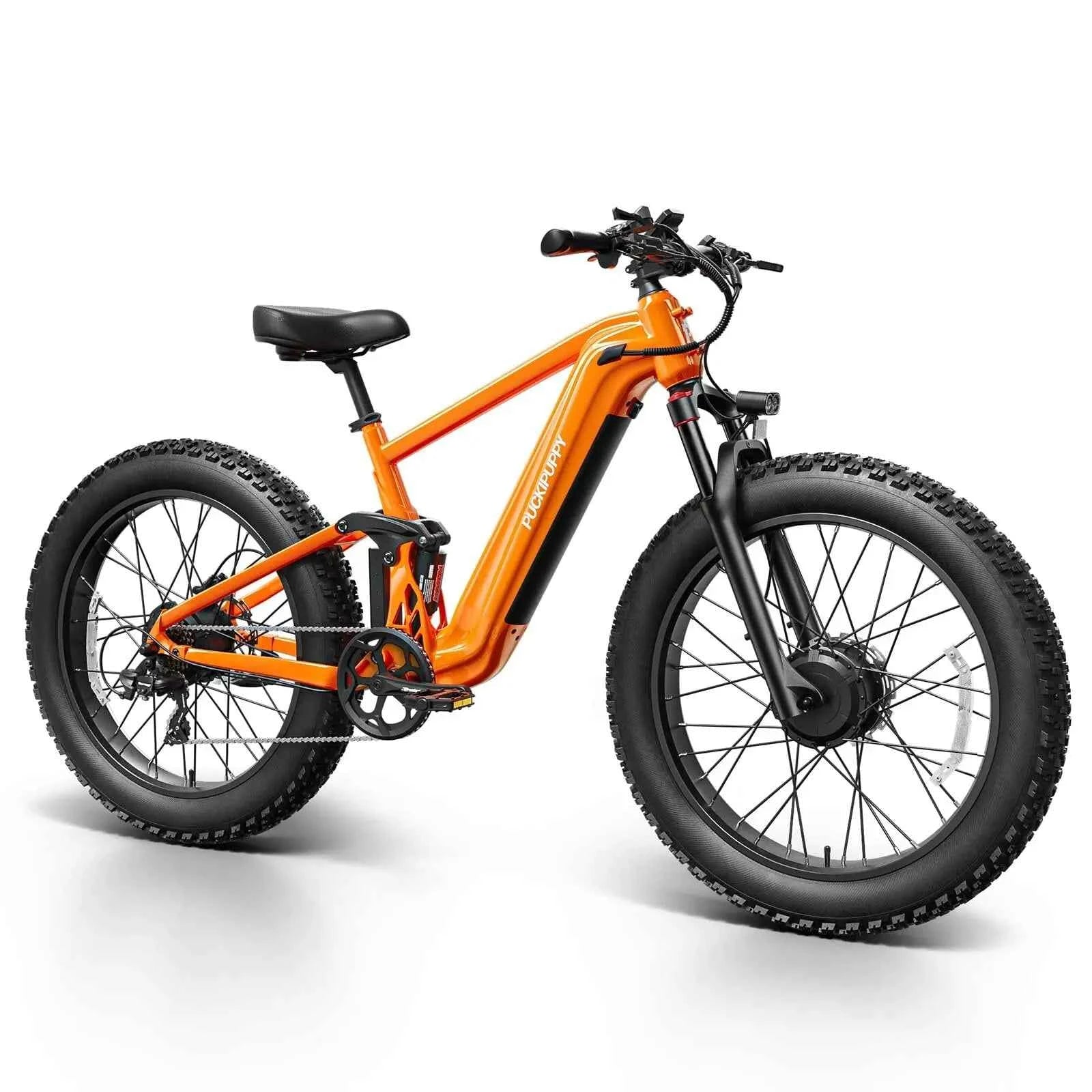 Dual Motor E-Bike 1600W