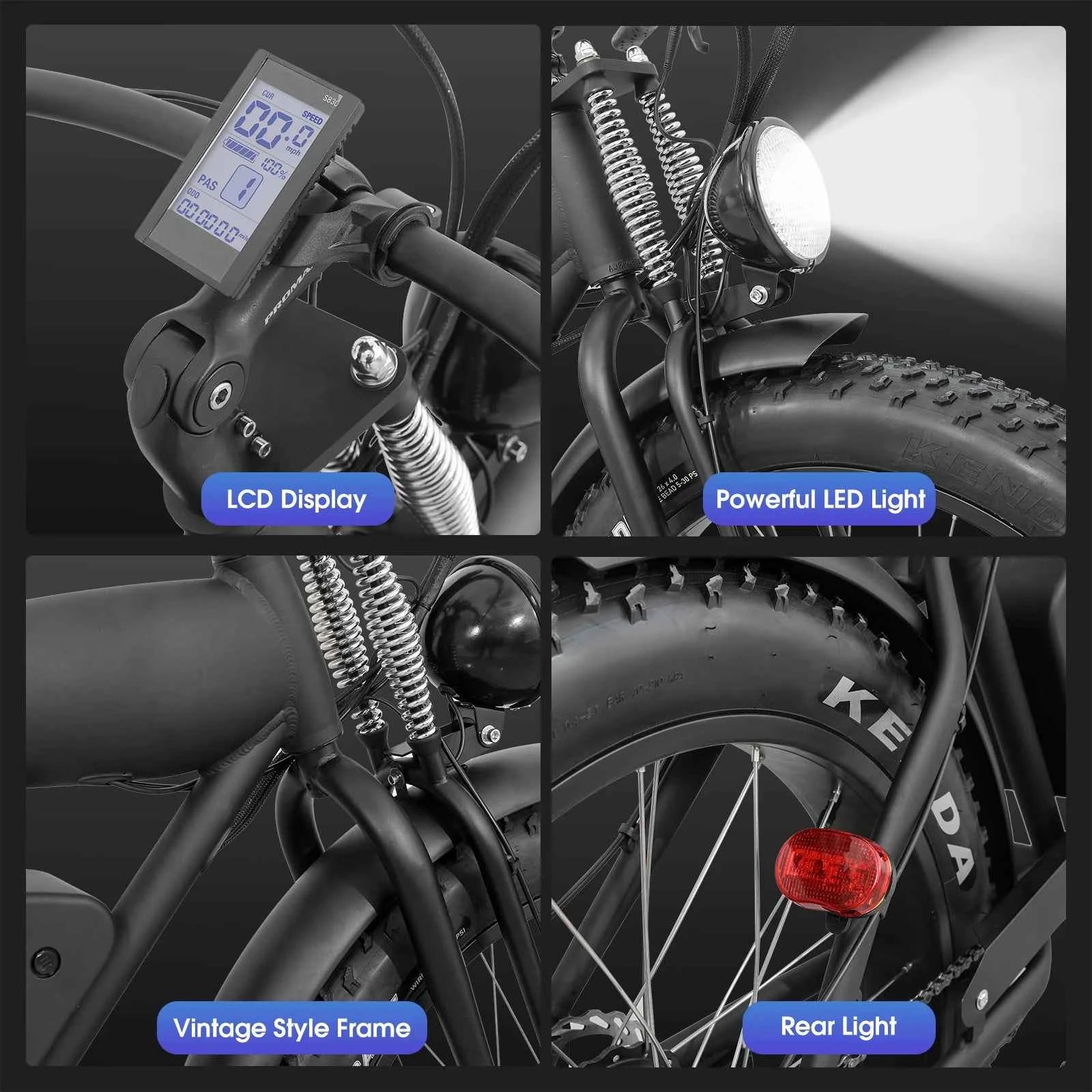 Fat Tire E-MTB 37MPH