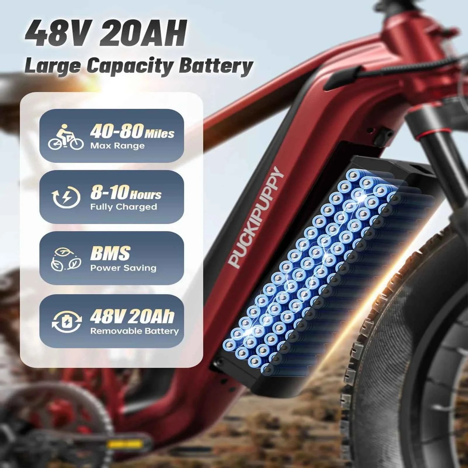 Dual Motor E-Bike 1600W