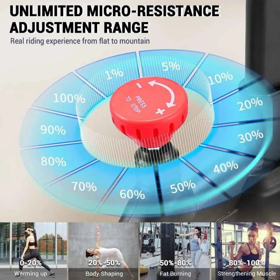 Magnetic Resistance Bike