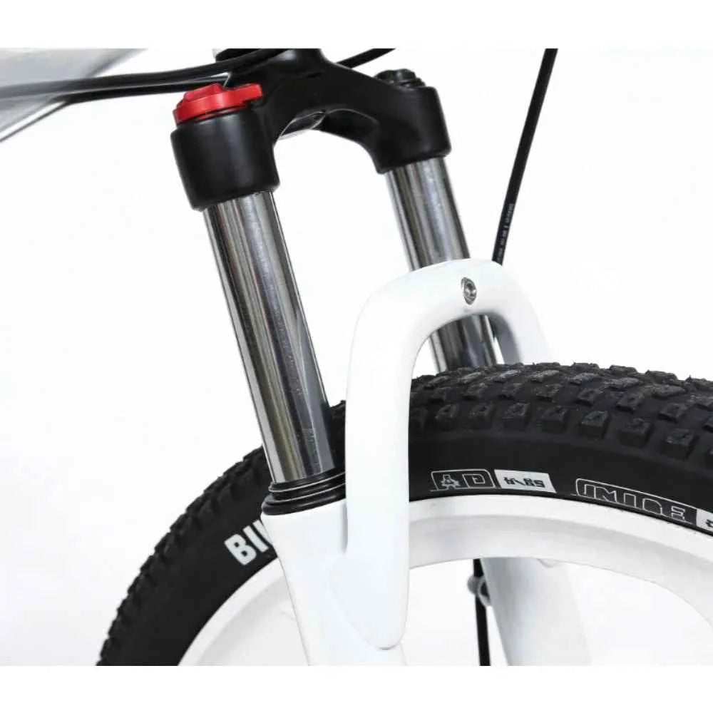 26” Dual Suspension Mountain Bike